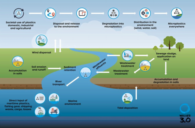 Microplastic: Imminent Threat to Food Chain Biology Diagrams
