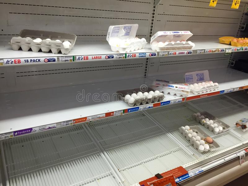 Worldwide egg shortage due to several reasons raises prices in global
