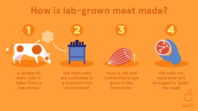 What Is Meat, Anyway? Lab-Grown Food Sets Off a Debate